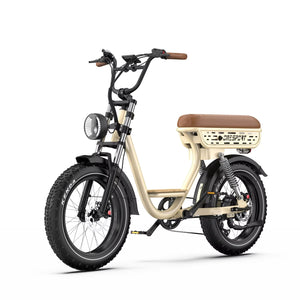 Urban Fat-Ride W77